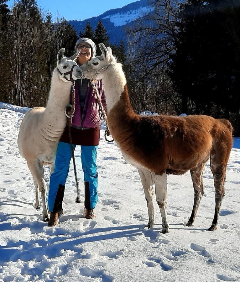 Naturidyll Brunner Kostendorf Luaran gambar