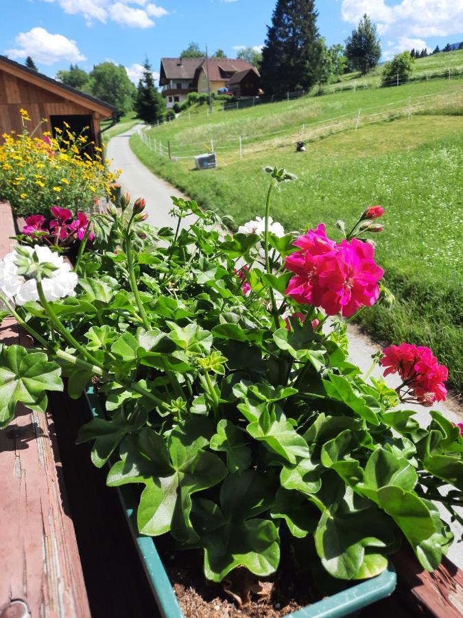 Naturidyll Brunner Kostendorf Luaran gambar