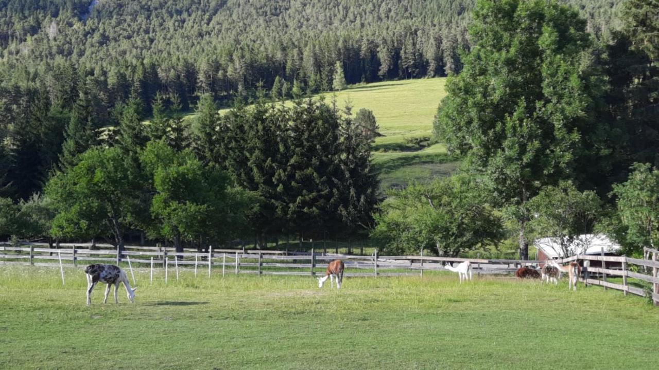 Naturidyll Brunner Kostendorf Luaran gambar