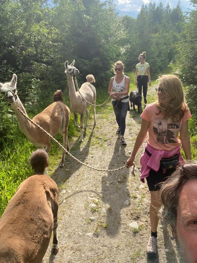 Naturidyll Brunner Kostendorf Luaran gambar